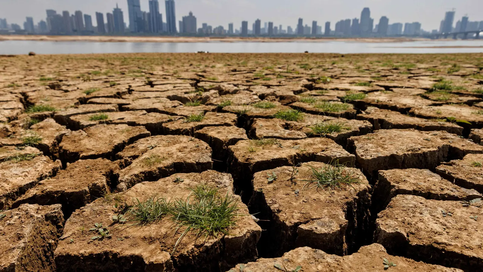 تآكل الأراضي الرطبة.. فاتورة اقتصادية بـ39 تريليون دولار بحلول 2050