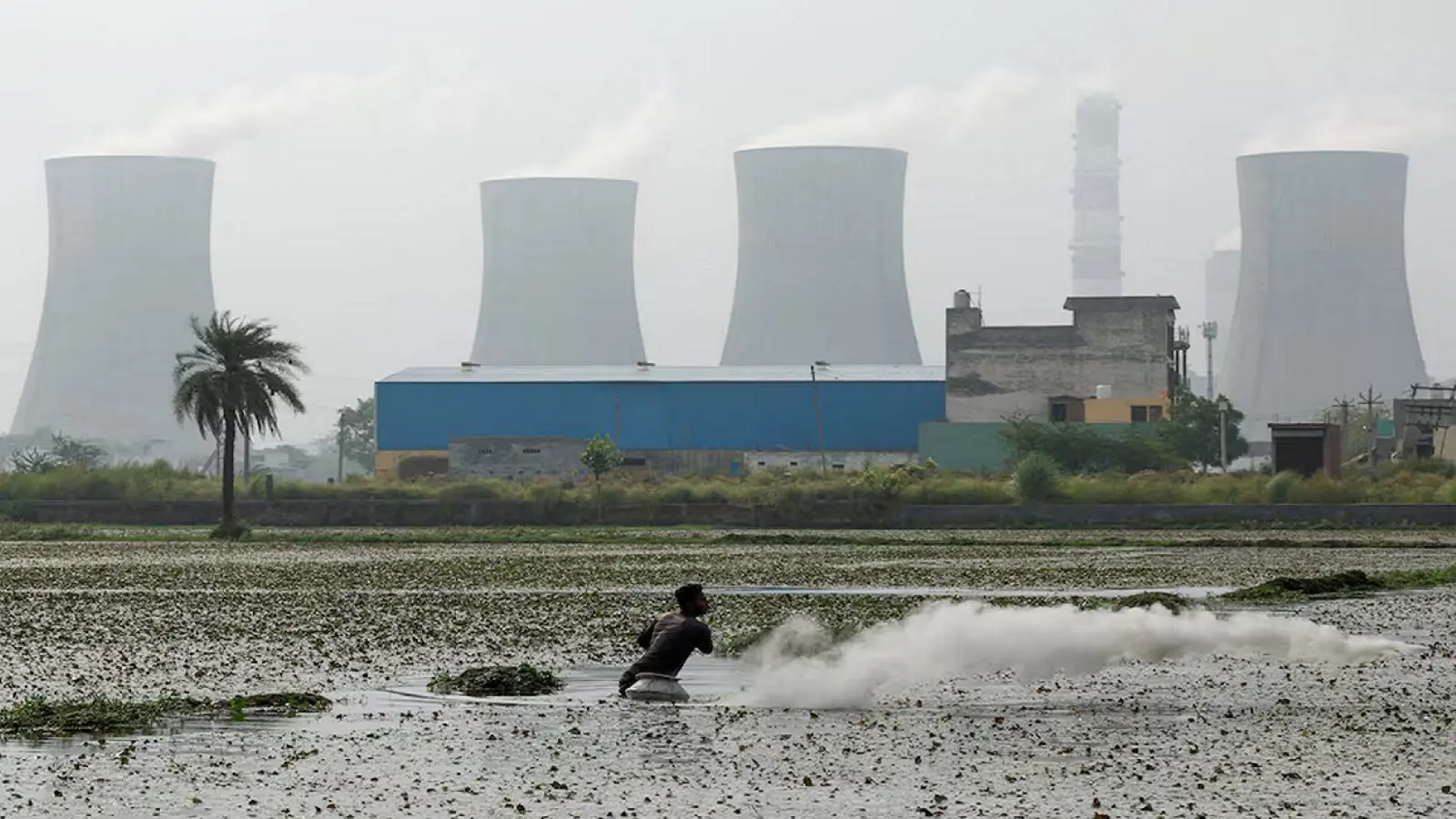 أزمة كهرباء في الهند.. محطات الفحم لتلبية الطلب
