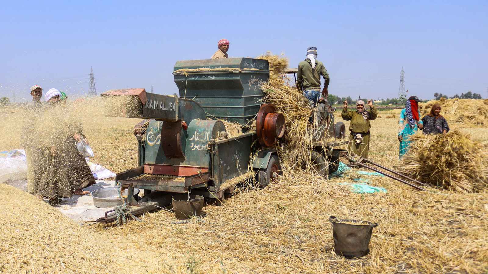 مصر تشتري 730 ألف طن قمح من المزارعين منذ بدء موسم التوريد 