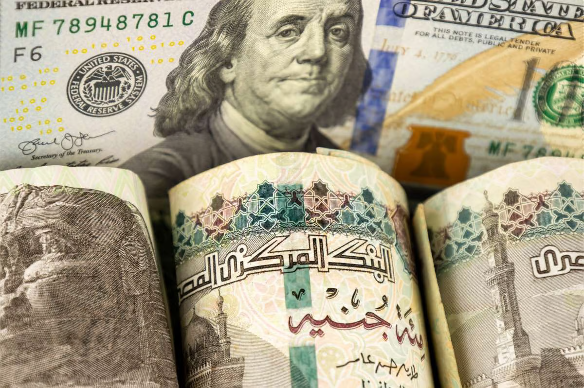  "النيل للاستثمار الصناعي".. صندوق مصري يعزز الموارد الدولارية