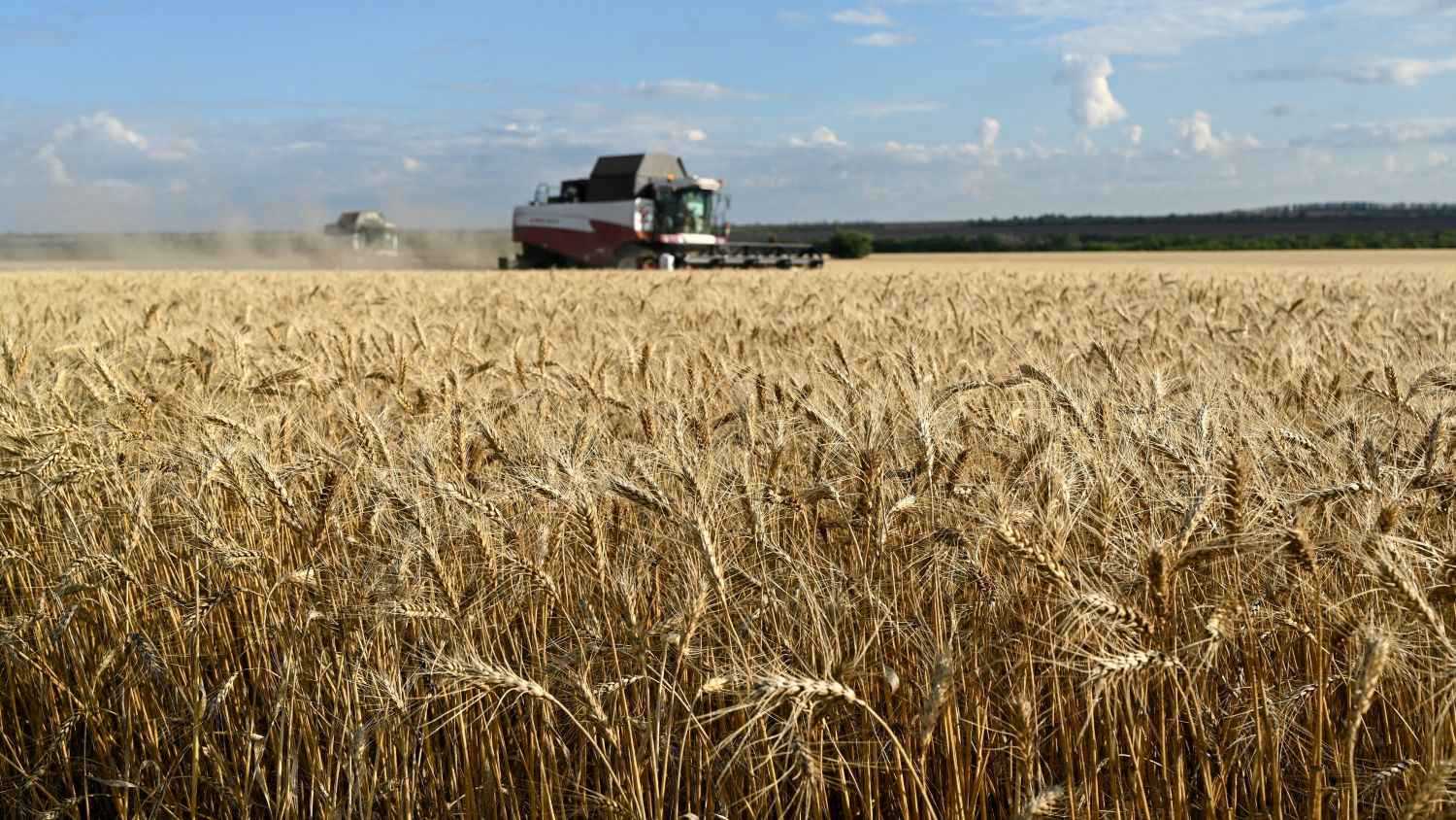 المخاوف بشأن إمدادات الأسمدة تصعد بأسعار القمح والذرة 