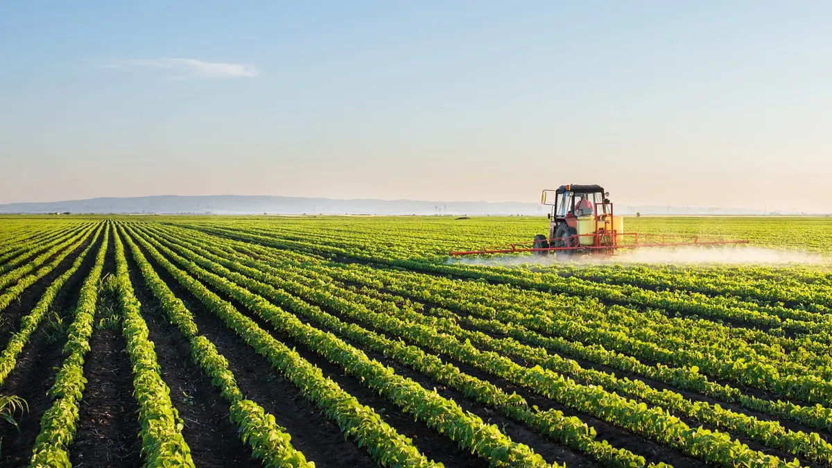 ارتفاع إنتاج الحبوب في المغرب 61.8% 