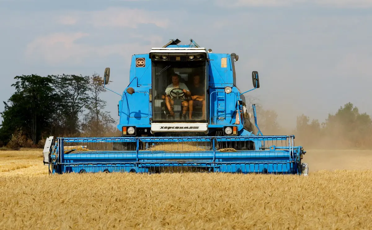 المنتجات الزراعية الأوكرانية تُغرق أوروبا.. وغضب الجيران يزداد 