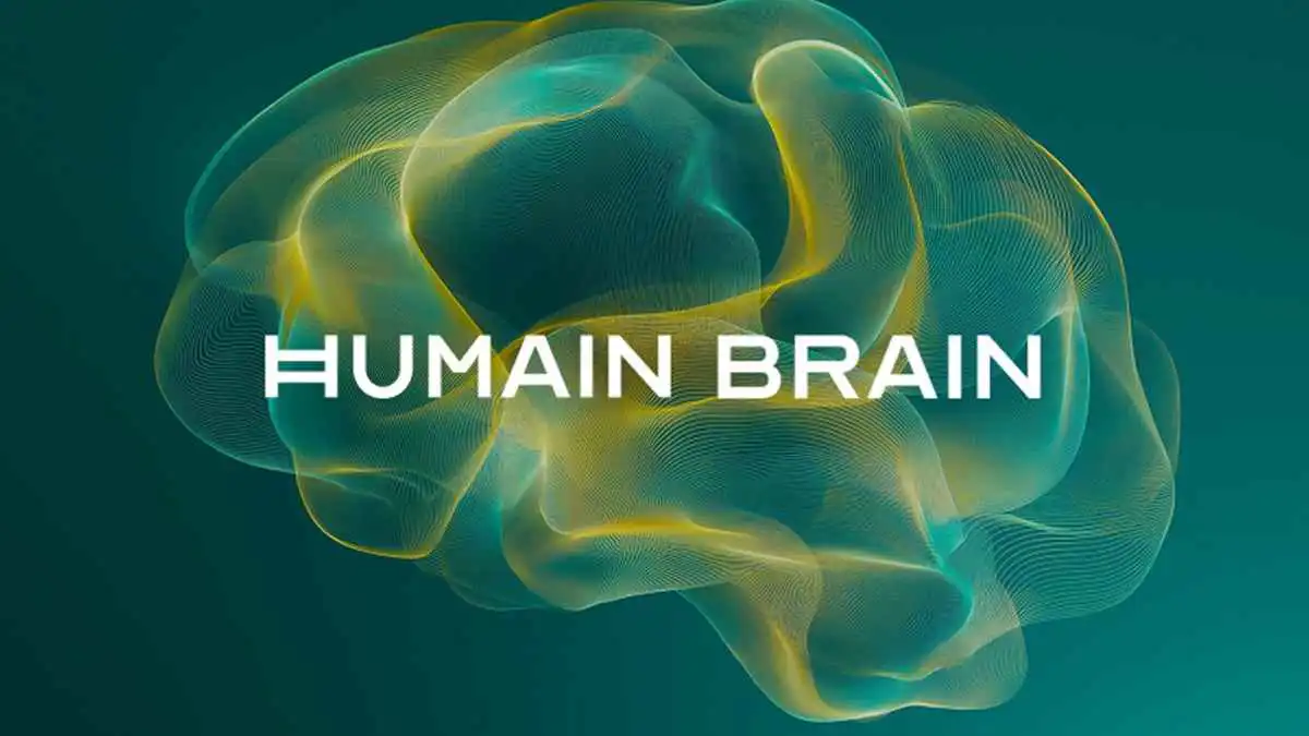 صورة لشعار منصة الذكاء الاصطناعي Humain Brain التابعة لشركة «هيوماين» السعودية.