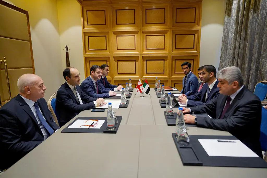 الإمارات وجورجيا.. مليار دولار حجم الاستثمارات المتبادلة