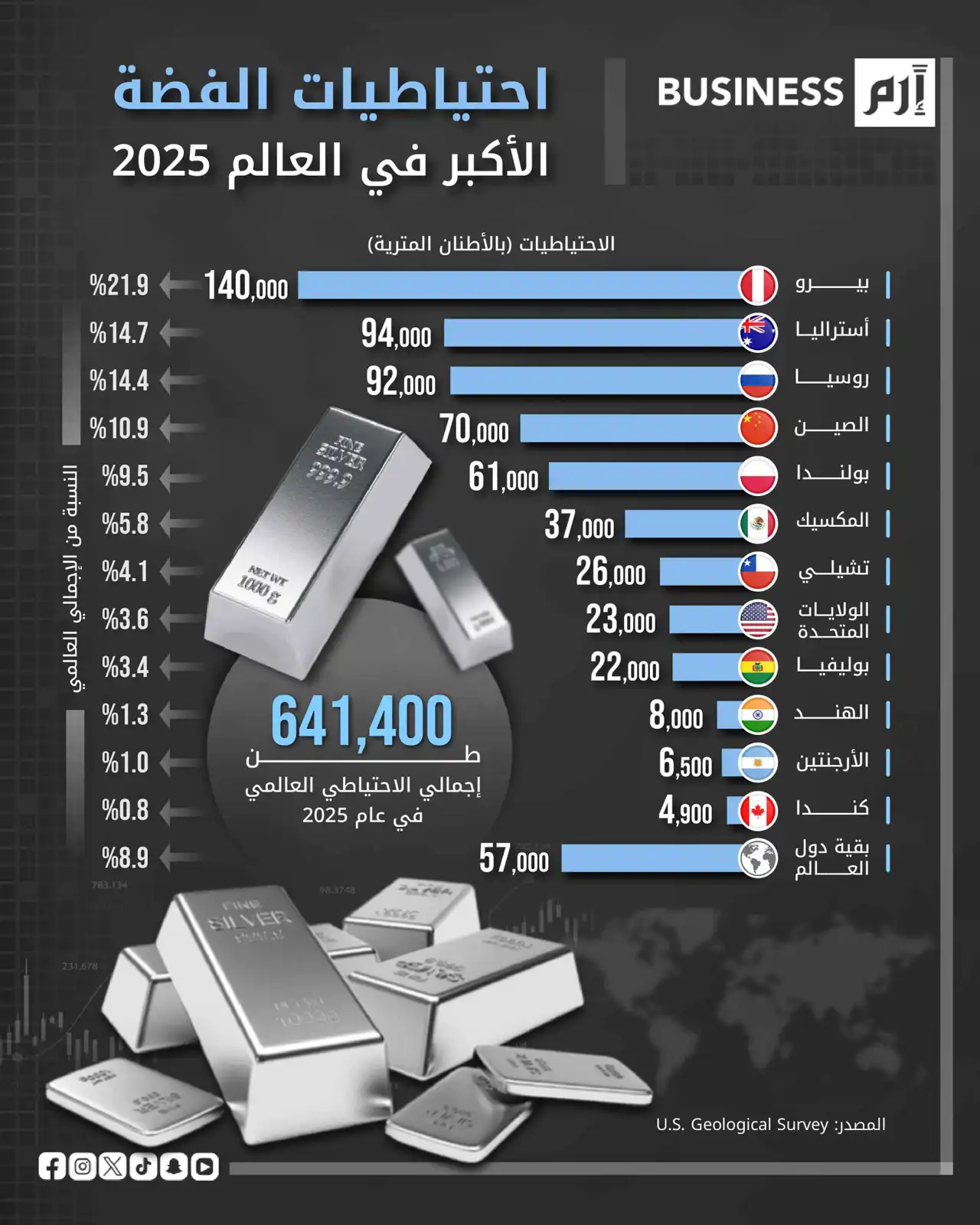 قفزة تاريخية للفضة في 2025.. من يملك مفاتيح الاحتياطي العالمي؟