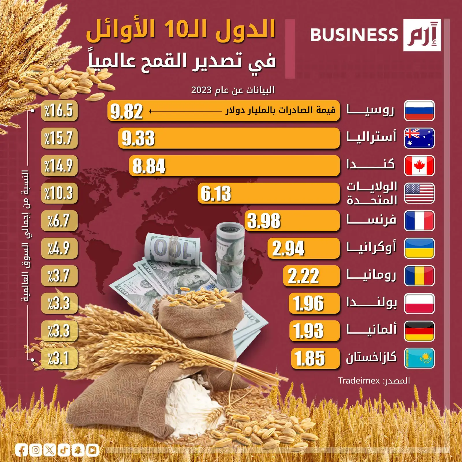 من يهيمن على صادرات القمح العالمية؟