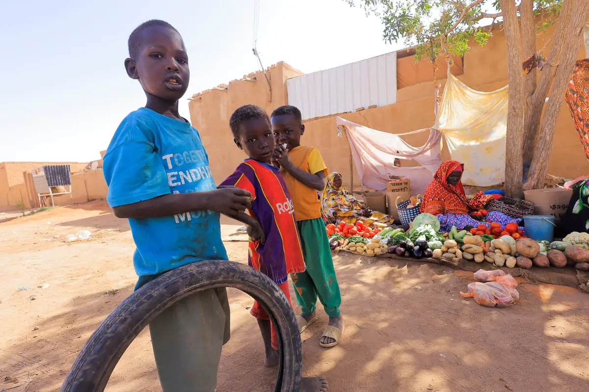 تقرير أممي: نحو 6 ملايين سوداني يواجهون انعدام الأمن الغذائي