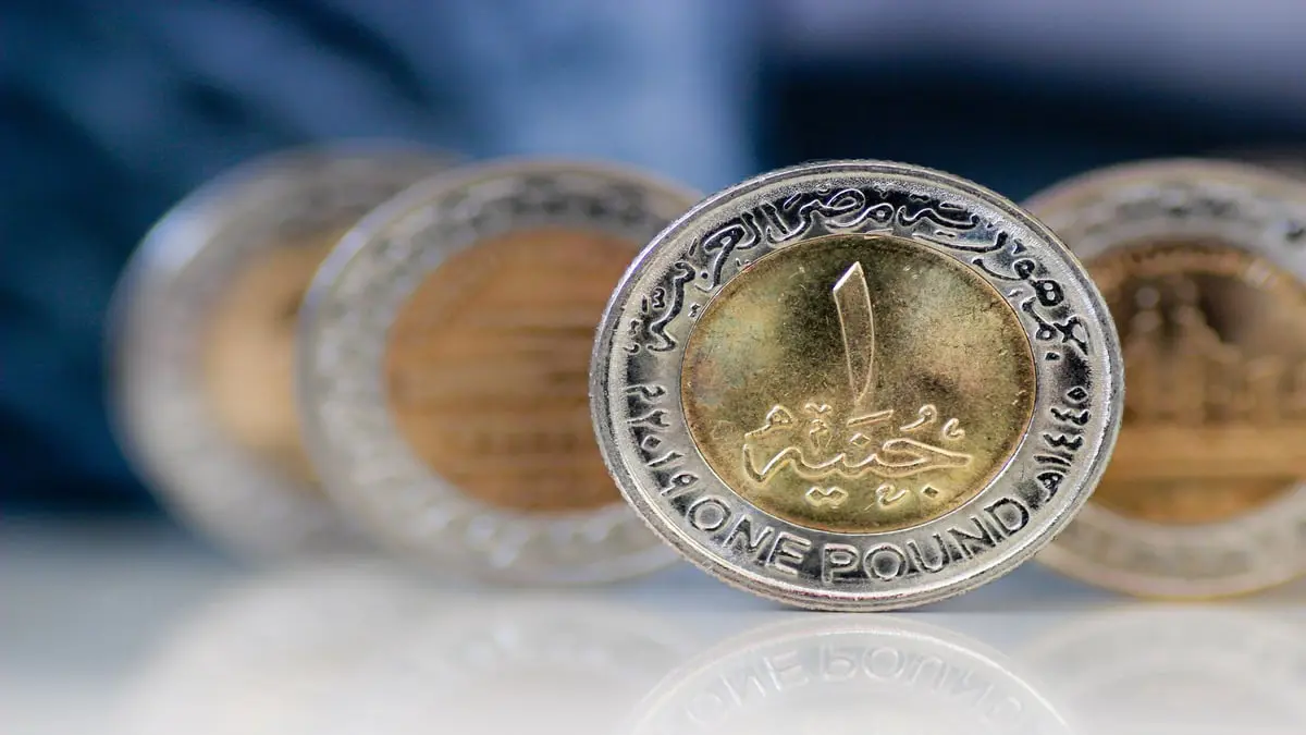 بعد انخفاضه 38%.. الجنيه المصري ثالث أسوأ عملة بالعالم في 2024