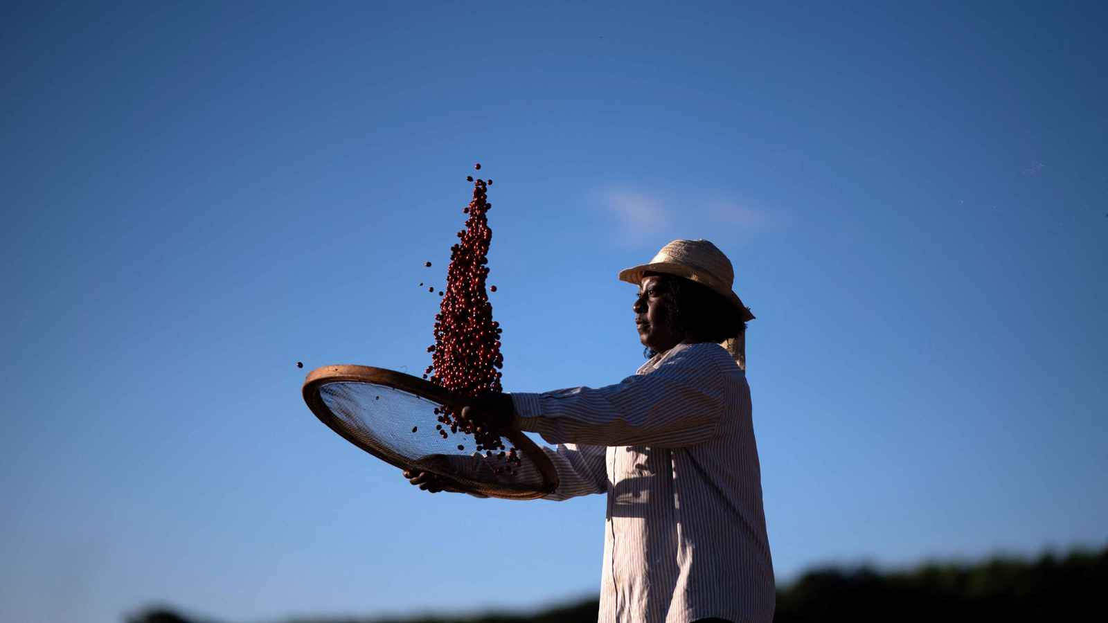 ارتفاع أسعار البُن بفعل مخاوف صراع إيران ومخاطر الطقس 