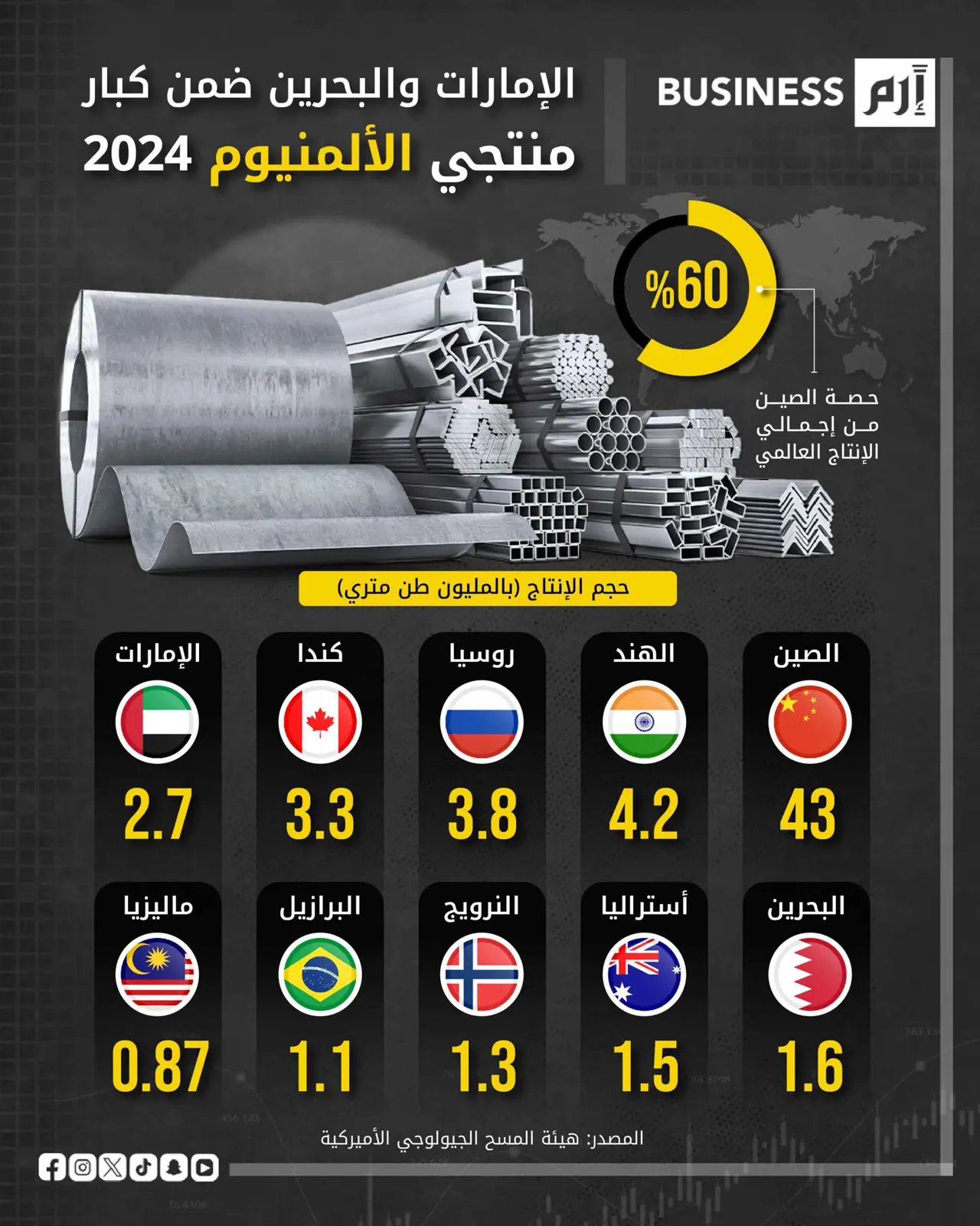 منها الإمارات والبحرين.. تعرف إلى أكبر الدول إنتاجاً للألمنيوم في 2024