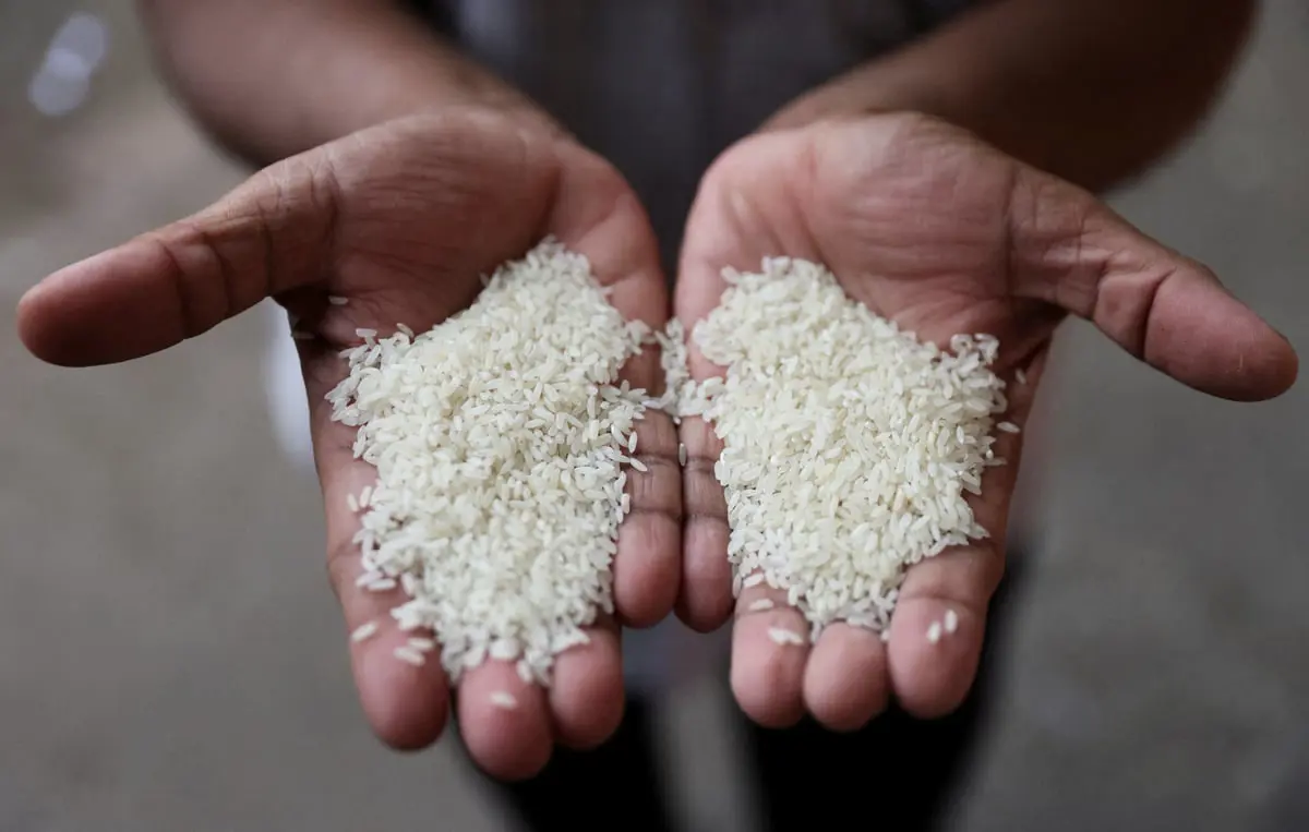 الهند.. اتفاقيات لتصدير 500 ألف طن من الأرز البسمتي