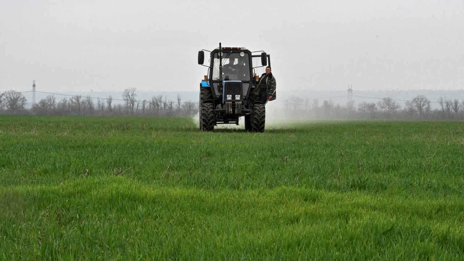 سعر القمح يسجل أكبر انخفاض أسبوعي منذ يونيو 