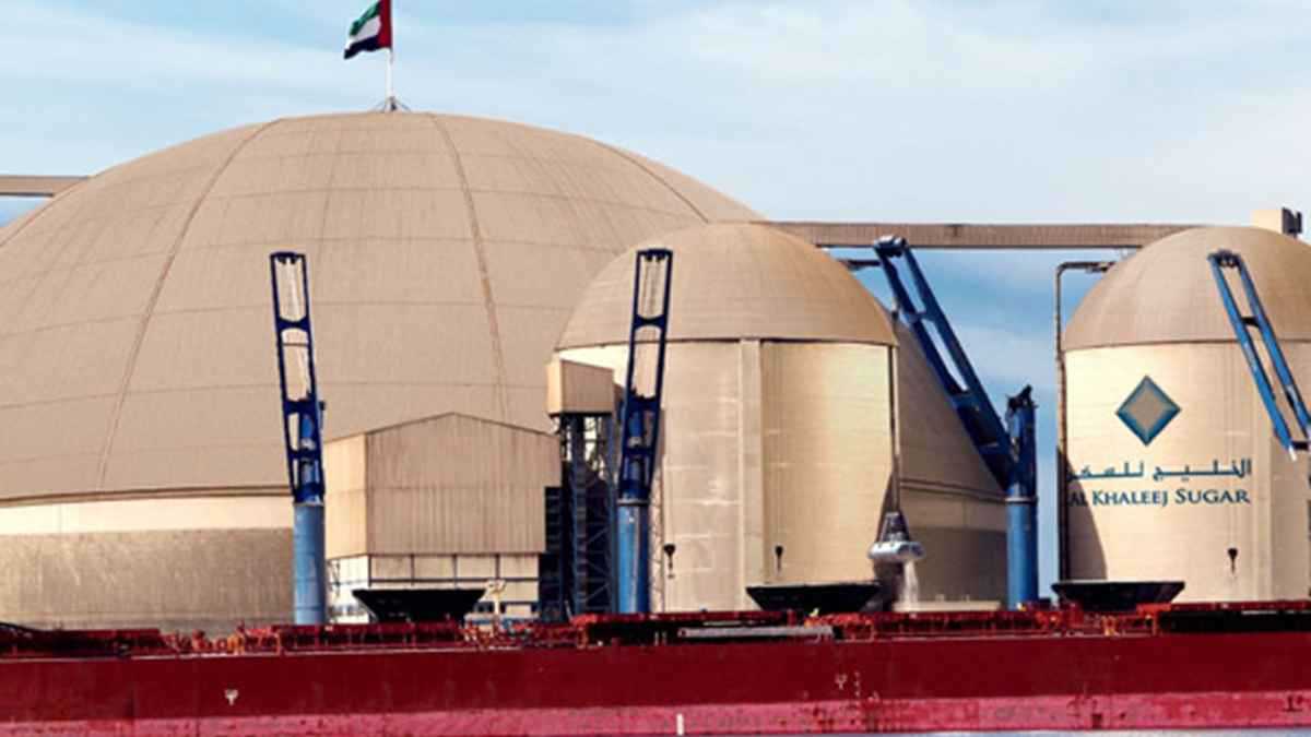 «الخليج للسكر» : عمليات الاستيراد والتصدير لا تزال متاحة 