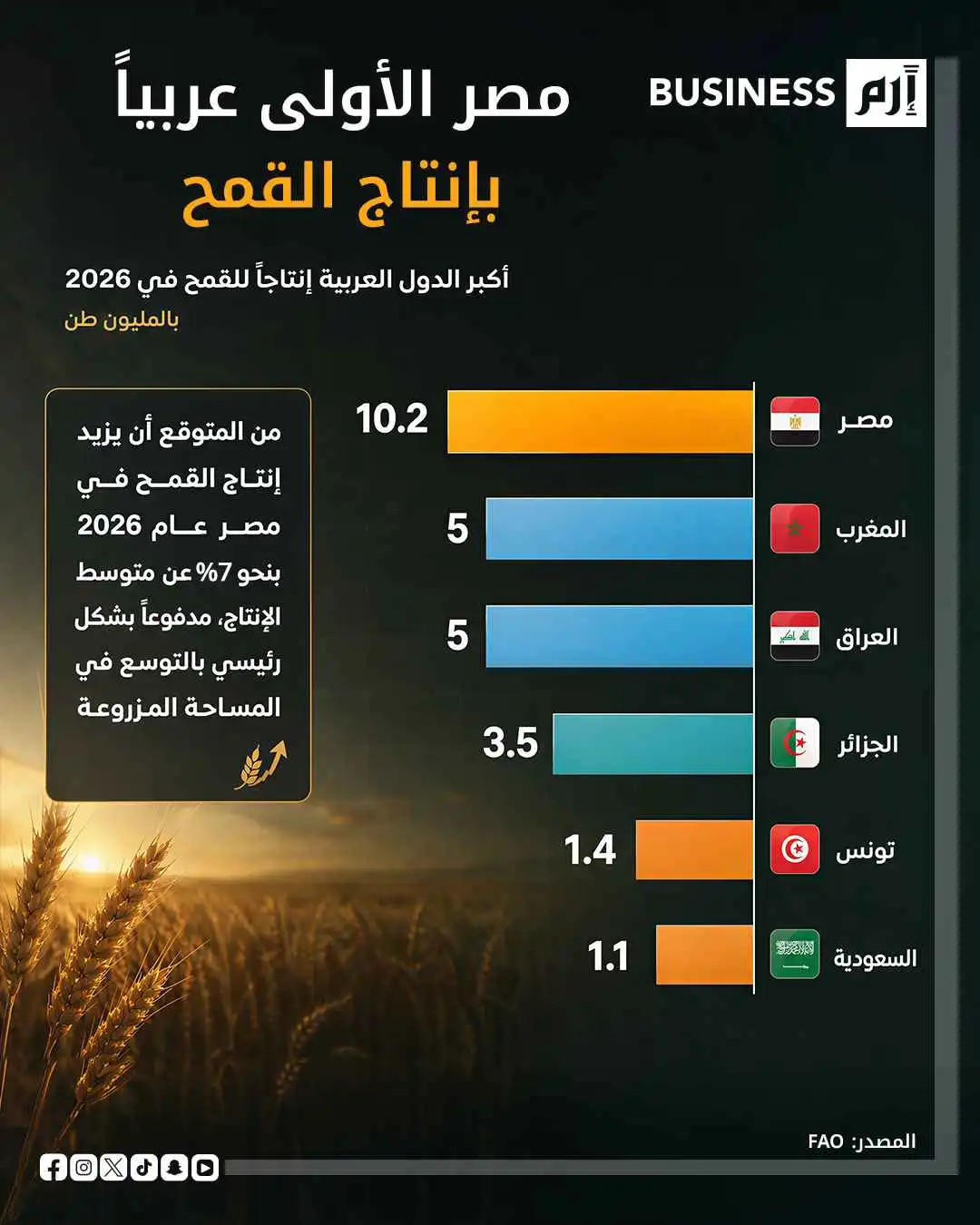  مصر تتصدر عربياً في إنتاج القمح خلال 2026 