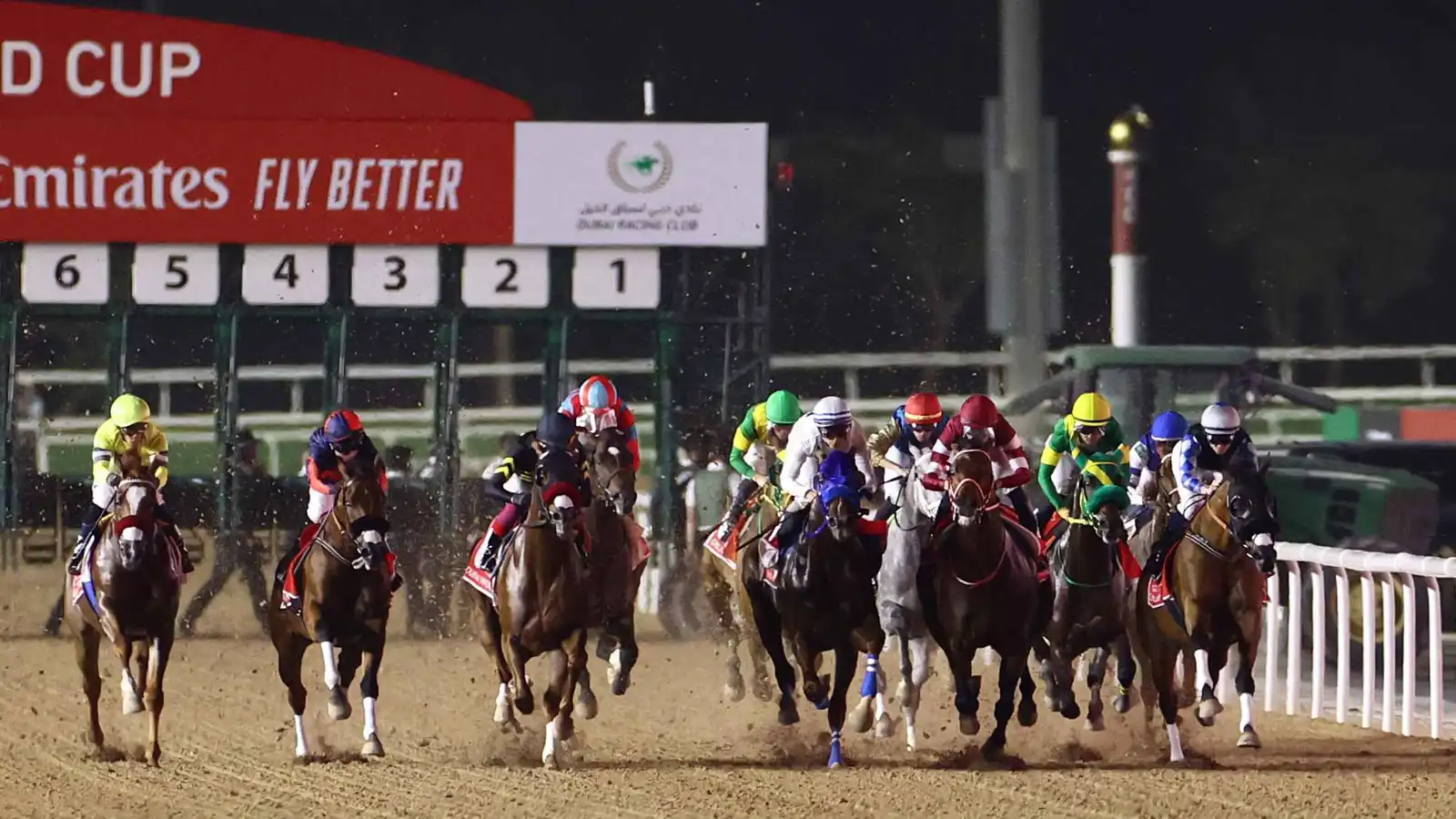 من متفرّج إلى مالك.. الاستثمار في سباقات الخيل ينتقل إلى «البلوكتشين»
