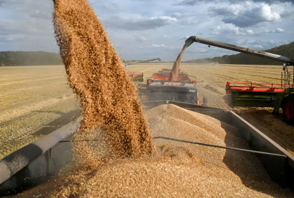 ارتفاع صادرات أوكرانيا من الحبوب إلى 6.3 مليون طن