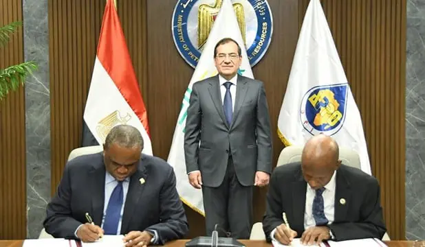 برأسمال 5 مليارات دولار.. اتفاق على تأسيس البنك الأفريقي للطاقة في مصر