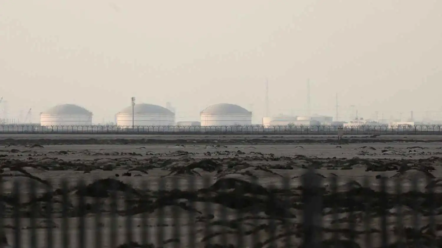 «قطر للطاقة» تمدد القوة القاهرة على 3 شحنات غاز طبيعي مسال