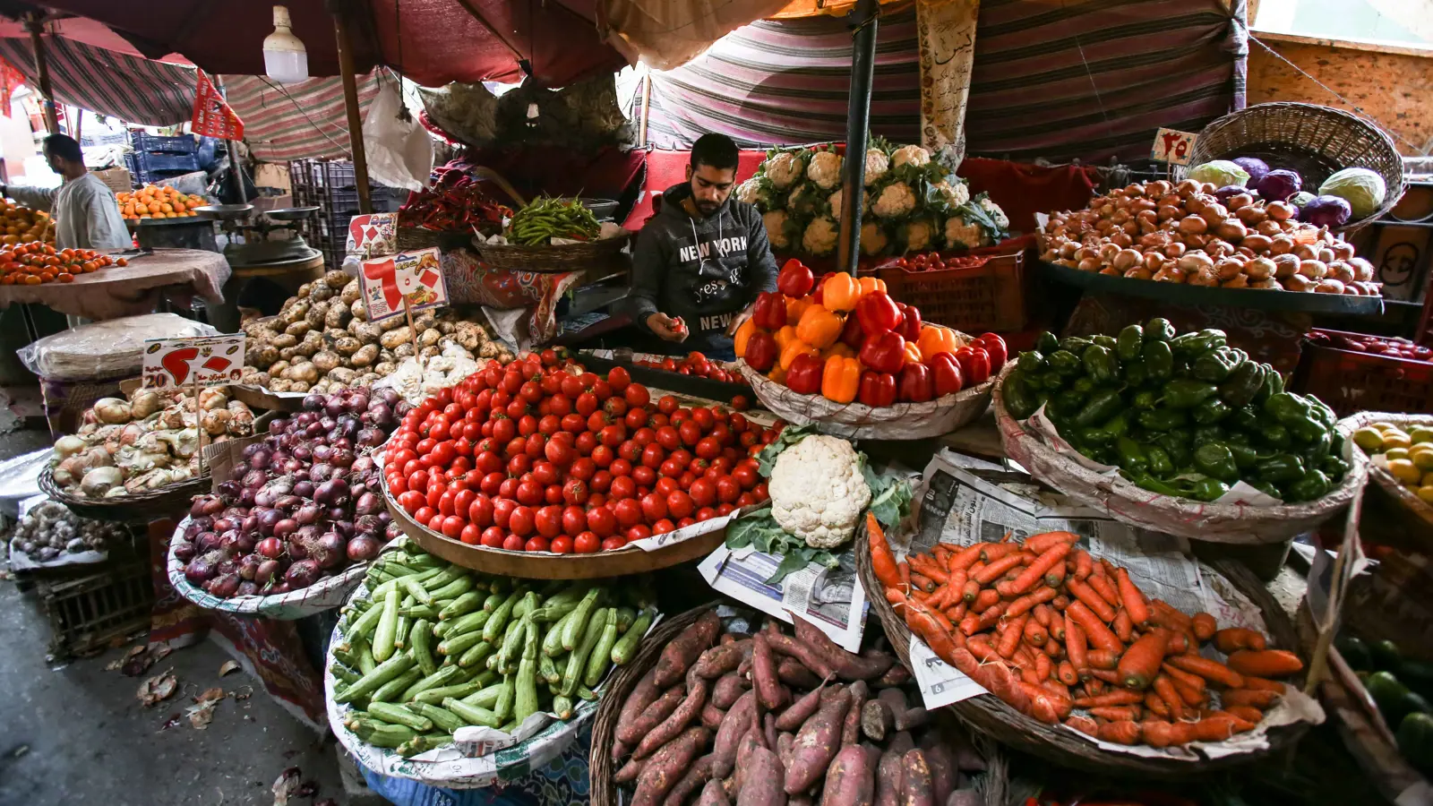 بعد 3 أشهر من الارتفاع.. انخفاض التضخم في مصر إلى 14.9% خلال يونيو
