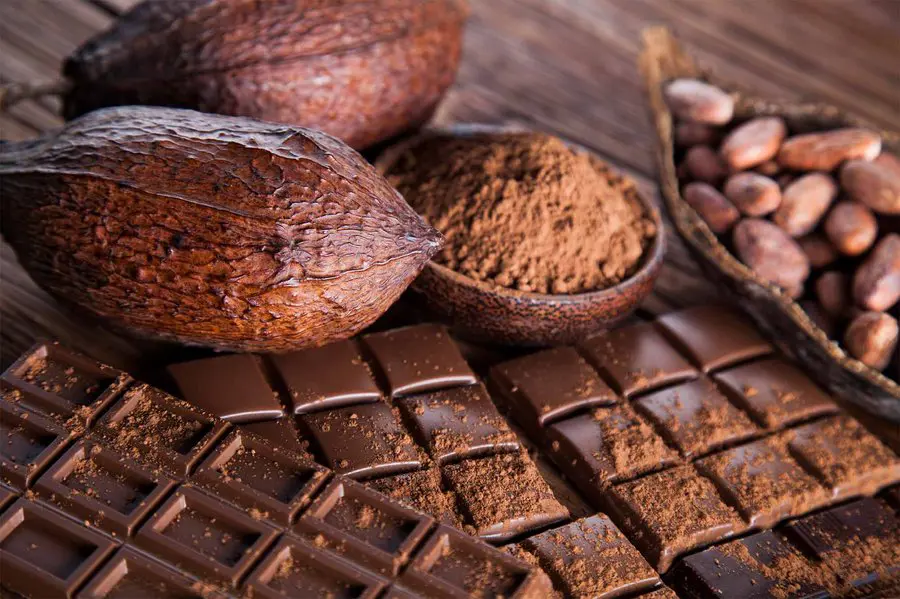 صندوق النقد يشترط تقليص خسائر الكاكاو لدعم الإصلاح في غانا