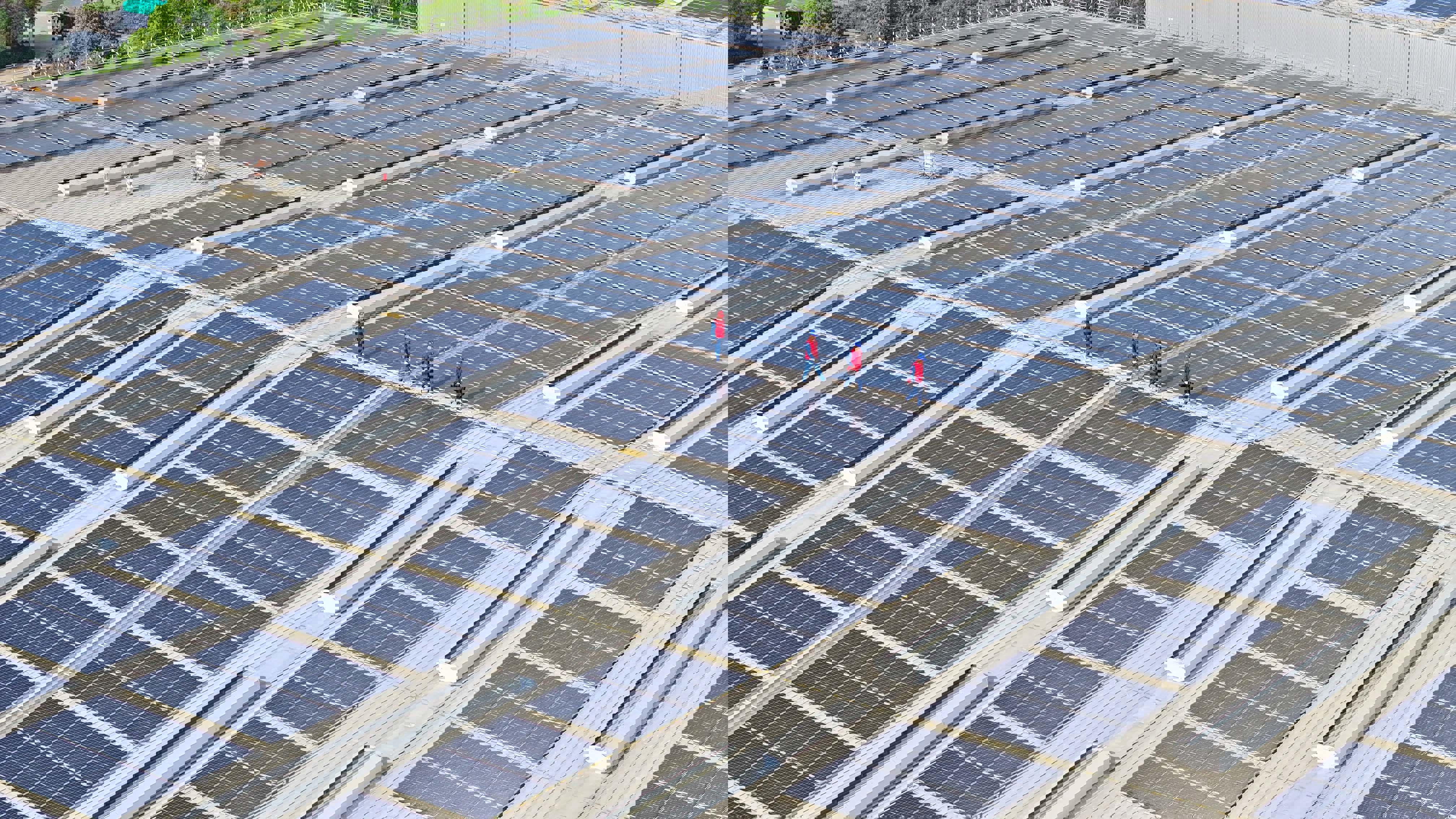 وظائف قطاع الطاقة المتجددة ترتفع 2.3% إلى 16.6 مليون في 2024 