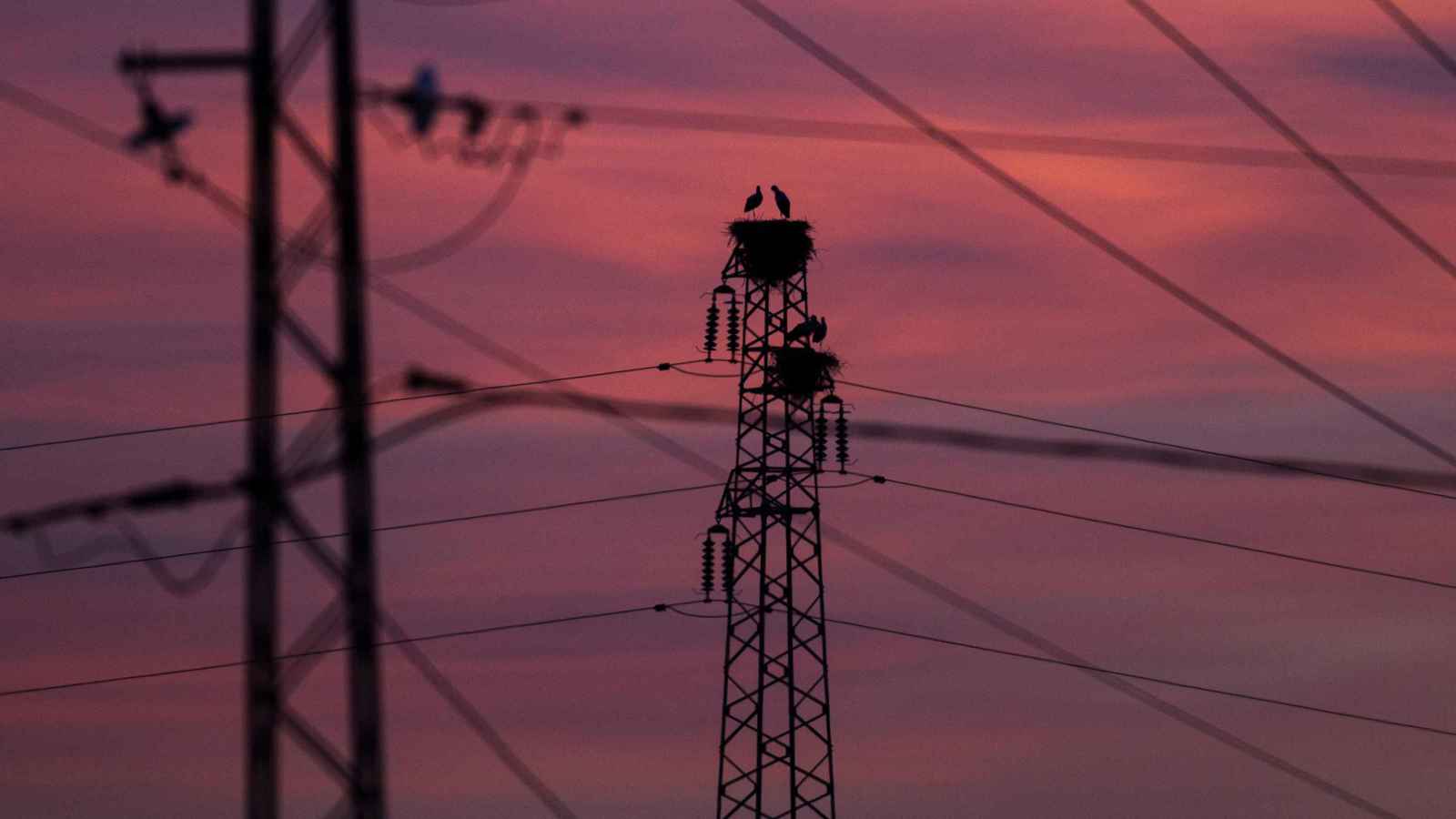 إنتاج الكهرباء في تونس يرتفع 6% في 2025 