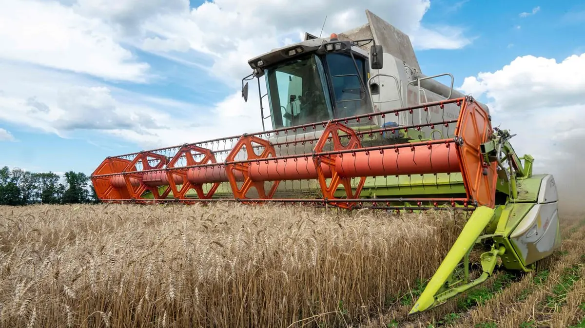 أوكرانيا.. 11.2 مليون طن حصاد محصول الحبوب لعام 2023