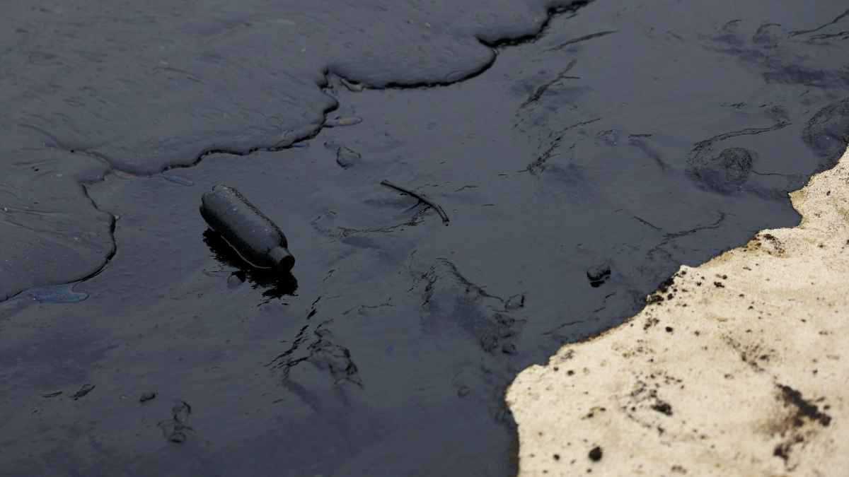 توقف مؤقت للنزيف.. أرقام أميركية تُهدئ من «رَوْعِ» النفط 