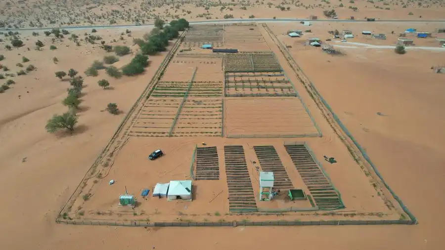مشروع "الحديقة الصينية الأفريقية للتكنولوجيا الخضراء" في بئر البركة غرب موريتانيا -22 مايو 2025