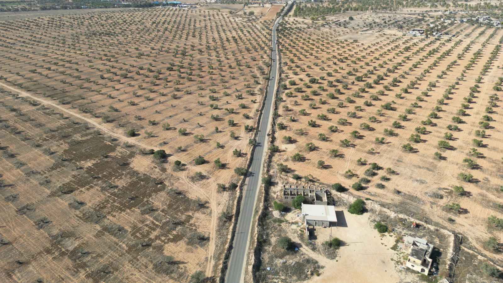 وكالة «فاو» تدعم ليبيا في خططها لتعزيز قطاع الزراعة والأمن الغذائي   إرم بزنس