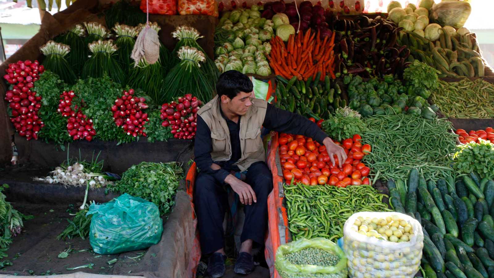 أفغانستان تطلق برنامجاً للأمن الغذائي بقيمة 100 مليون دولار 