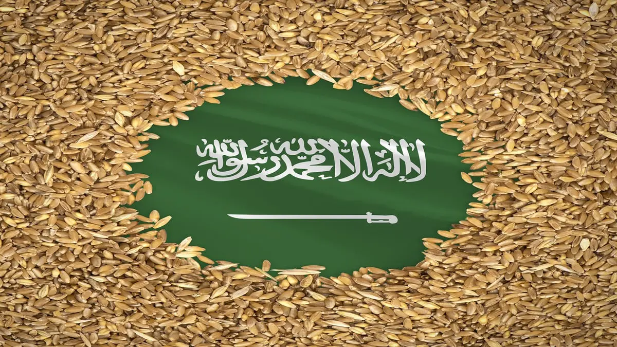السعودية تحول المؤسسة العامة للحبوب لهيئة الأمن الغذائي