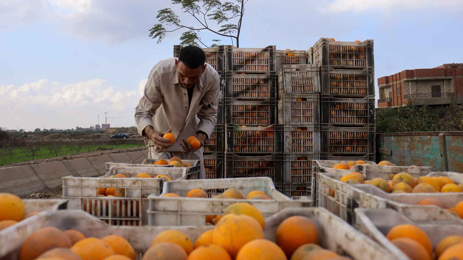«الغرف التجارية»: قرارات ترامب ستؤثر في الصادرات المصرية لواشنطن