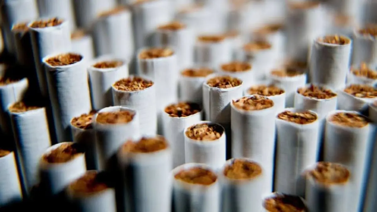 أكبر شركة تبغ في العالم تعلن زيادة جديدة لأسعارها بمصر