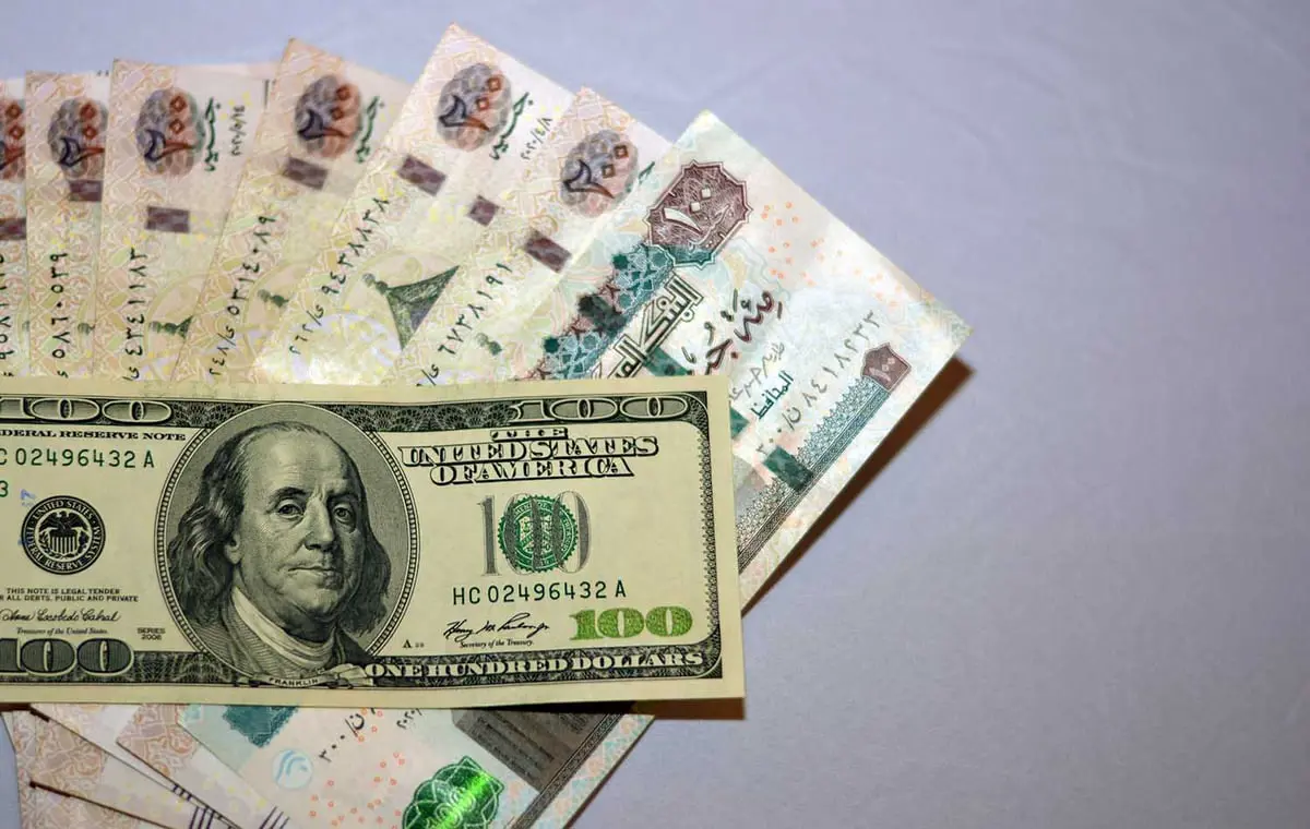 لتوفير سيولة دولارية.. مصر تدرس بيع 40% من شركة حكومية
