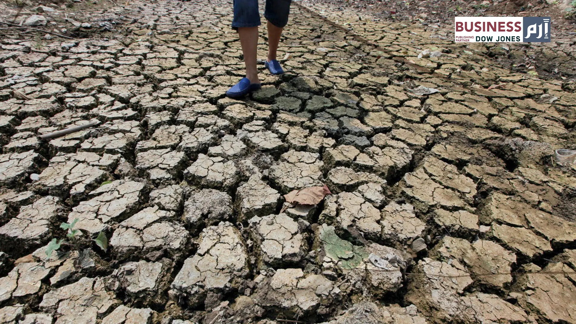 الجفاف يضرب أكثر من 3 ملايين هكتار من الأراضي الزراعية بالصين