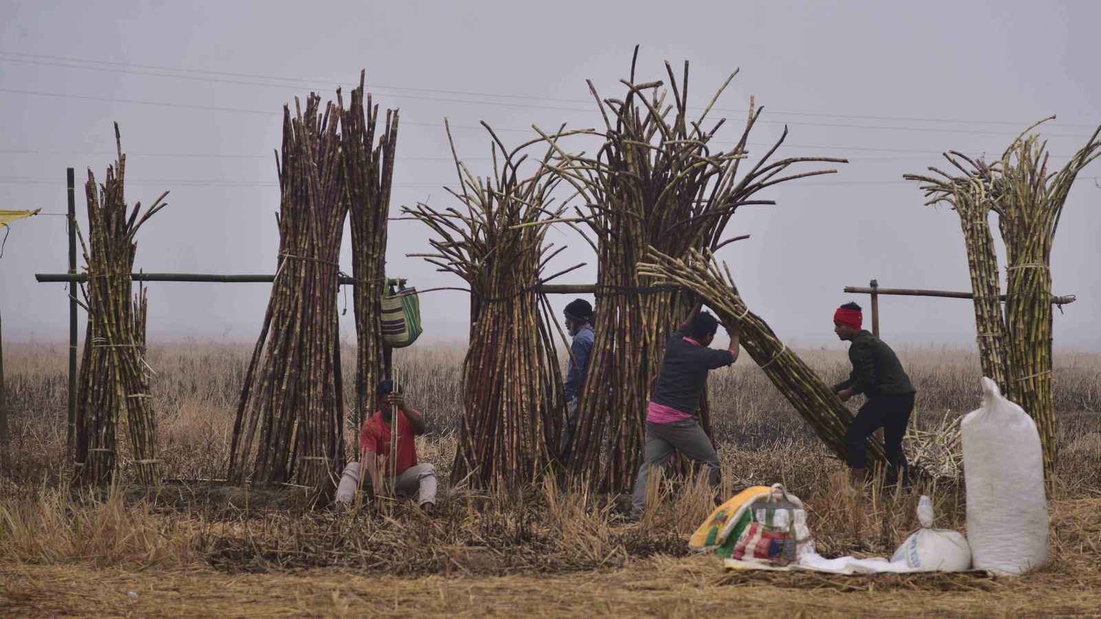 النمو الاقتصادي للهند أسرع من المتوقع في نهاية 2025 