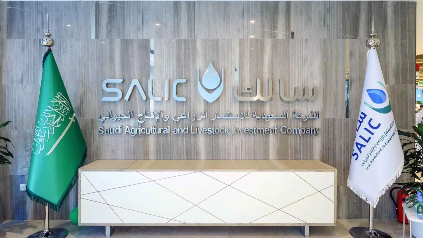 «سالك» السعودية تتطلع إلى فرص استثمارية في روسيا