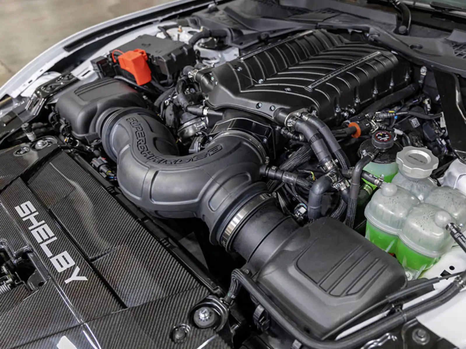قلب الأسطورة فورد موستانغ شلبي Super Snake-R محرك V8 سعة 5.0 ليتر بشاحن Whipple فائق يولّد أكثر من 850 حصانًا