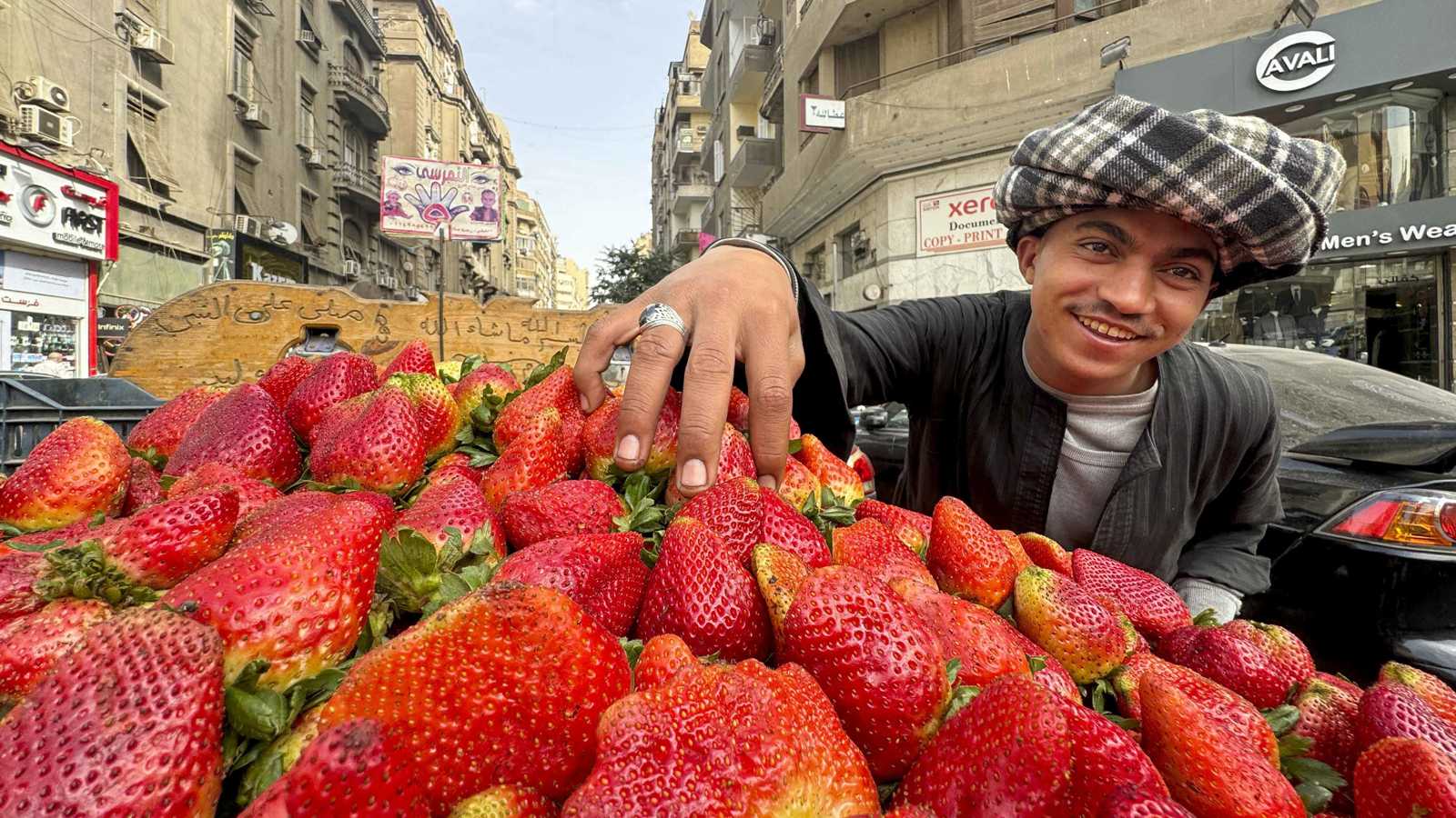 صادرات الأغذية تقود النمو.. كيف تعزز مصر حضورها في الأسواق العالمية؟ 