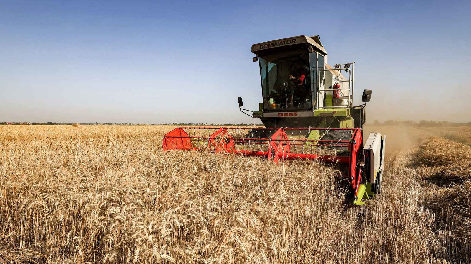 بـ3.7 مليون طن.. احتياطيات العراق من القمح تكفي حتى نهاية 2026. لمزيد من الأخبار والتحليلات الاقتصادية تابعوا 