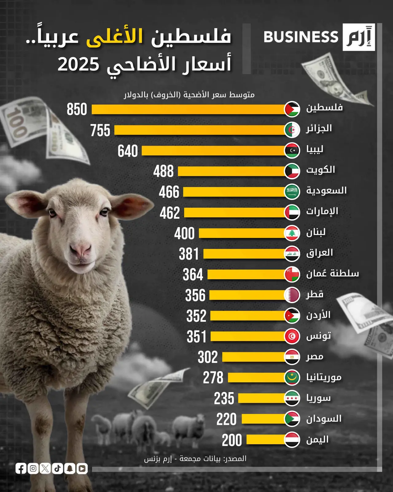 من فلسطين إلى اليمن.. خريطة أسعار الأضاحي في 2025