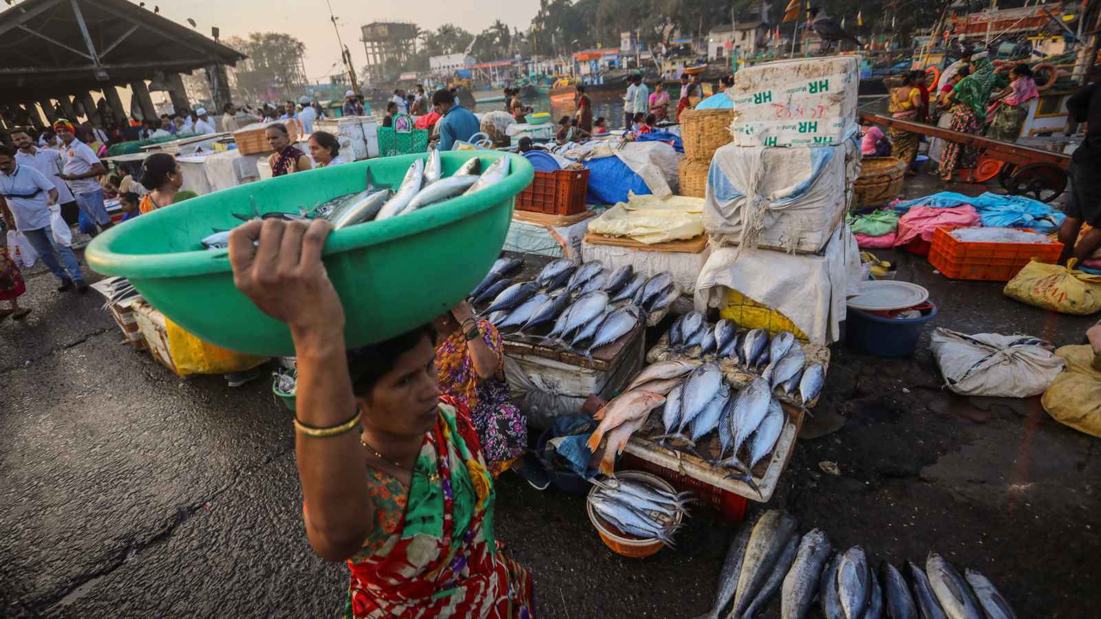 البنك المركزي: اقتصاد الهند متماسك ومدفوع بالطلب المحلي 
