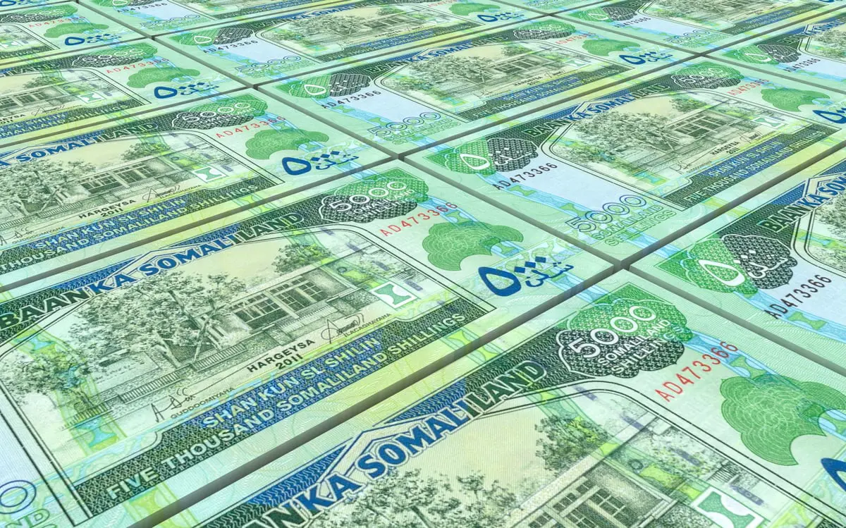 2.9 % نمو الاقتصاد الصومالي في 2021