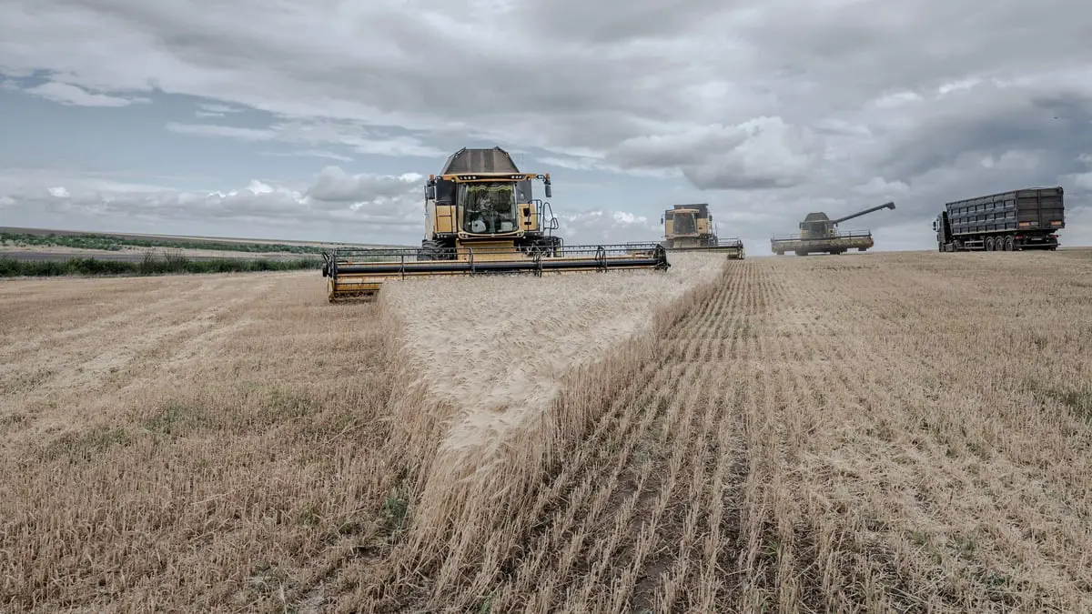 الأمطار تخفض مساحات القمح المزروعة في أوروبا وترفع الأسعار