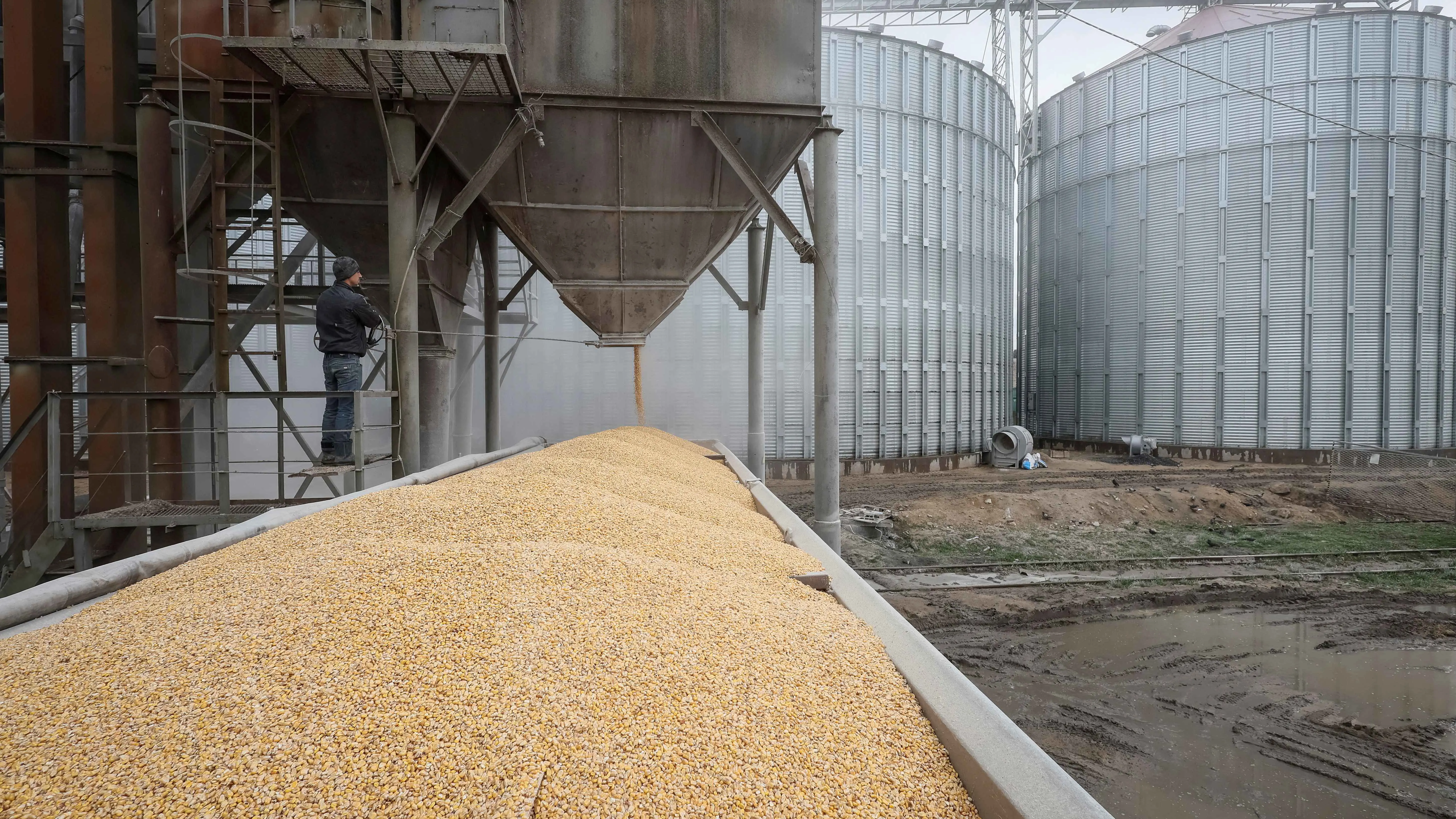 68 % ارتفاع صادرات الحبوب الأوكرانية إلى 1.5 مليون طن في الموسم الحالي