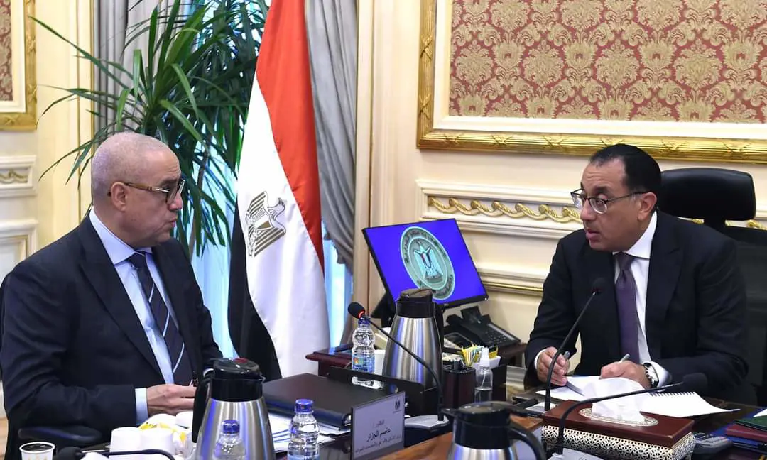 الحكومة تستعد لطرح قطع أراضي ووحدات سكنية للمصريين في الخارج