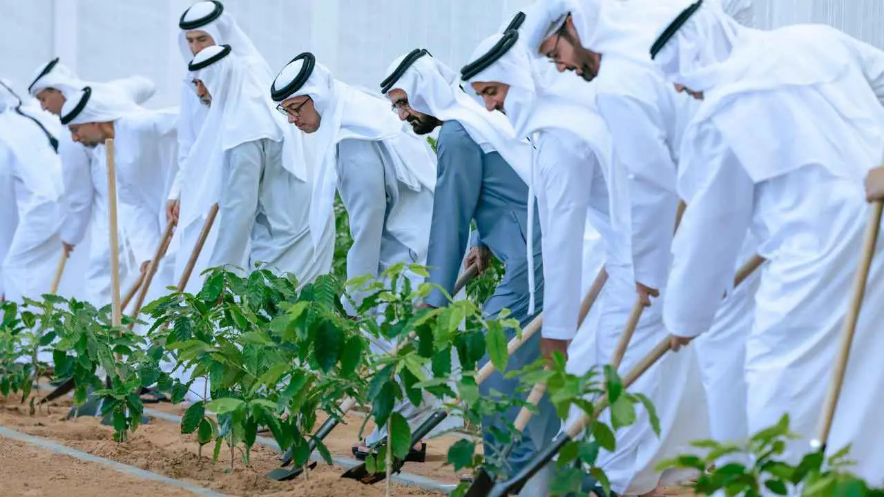 «إزرع الإمارات».. حملة من الحكومة الإتحادية لتعزيز الأمن الغذائي