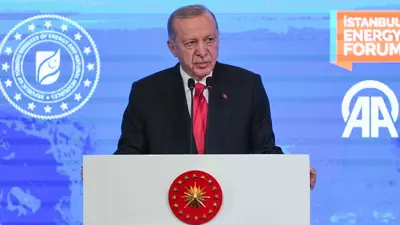 الرئيس التركي رجب طيب أردوغان يلقي كلمة في منتدى إسطنبول للطاقة في إسطنبول، تركيا، يوم 22 نوفمبر 2024